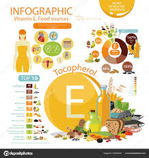 vitamin e or tocopherol food sources stock vector