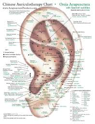 Chinese Auriculotherapy Chart Acupuncture Ear