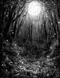 Moon In Forest Fantasy Tree Magical Forest Forest Moon Find the best dark moon wallpapers on getwallpapers. magical forest
