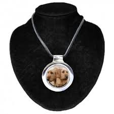 Image result for štýrský brakýř