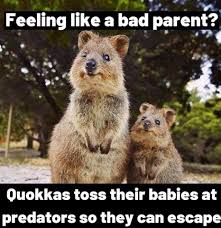 Pin By Alexis Cheyenne On Crazy Bad Parents Funny Parenting Memes Parenting Memes