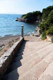 Image result for Verde Giannutri 2008 147