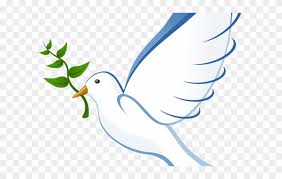 Jpg, png, gif, bmp, tiff, ico, pnm, pbm, ppm, pgm, svg. 700 Gambar Burung Png Paling Keren Gambar Id