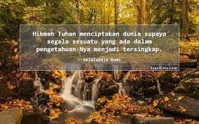 Koleksi kata kata bijak motivasi dan semangat hidup, kata mutiara hikmah, serta kata kata indah tentang kehidupan cinta. 39 Kata Kata Hikmah Jagokata