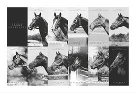 Triple Crown Winners Tribute Poster Horse Photos Horses Thoroughbred Horse