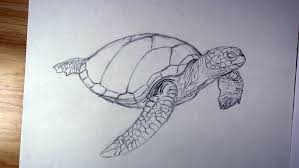 We did not find results for: How To Draw A Sea Turtle Step By Step Let S Draw Today