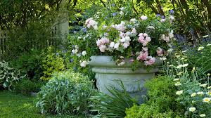 Get The Look English Cottage Garden Zone 3 7 Rose Garden Design English Cottage Garden Ground Cover Roses