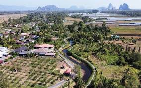 Ade orang perlekehkan beliau tau. Freemalaysiatoday