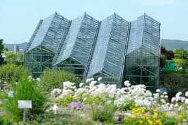 There are 3 ways to get from venlo to botanischer garten solingen by train, bus or car. Botanischer Garten Der Universitat Osnabruck Home Facebook