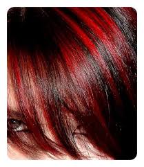 Jet black braided hair with rich espresso highlights: 81 Red Hair With Highlights Ideas That You Will Love Style Easily