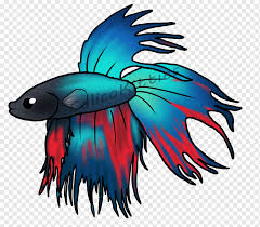 Gambar ikan cupang kartun hitam putih. Betta Png Images Pngwing
