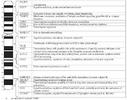 The Genetics Of Mental Retardation Intechopen