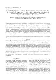 Faculty of education, the national university of malaysia (ukm) universiti kebangsaan malaysia. Pdf Molecular Phylogeny Of Holothuria Mertensiothuria Leucospilota Brandt 1835 As Inferred From Cytochrome C Oxidase I Mitochondrial Dna Gene Sequences