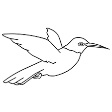 Hundreds of free spring coloring pages that will keep children busy for hours. Top 10 Hummingbird Coloring Pages For Your Toddler