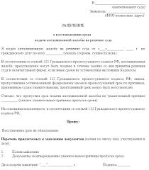 Apellyacionnaya Zhaloba Na Reshenie Rajonnogo Suda