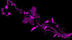 Beautiful Black And Purple Butterfly Black Butterfly Wallpaper Black And Purple Wallpaper Butterfly Wallpaper Butterfly Background