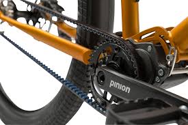 Pinion Getriebe Bei Velophil Berlin