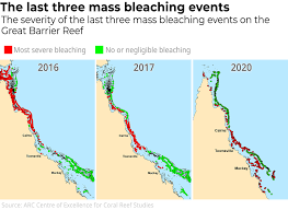 It extends from the tip of cape york peninsula in the north to bundaberg in the south. Great Barrier Reef Survey What We Saw Was An Utter Tragedy Ars Technica