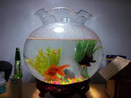 ∙ promo pengguna baru ∙ kurir instan ∙ bebas ongkir ∙ cicilan 0%. Aquarium Cepat Kotor Tanya Ttg Filter Kaskus