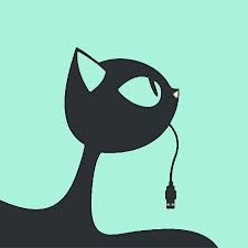 Image result for Doellia