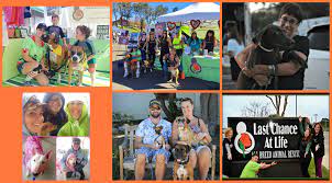 Kids age 11 and older can volunteer at the san diego food bank doing a variety of projects throughout a. Volunteer Last Chance At Life