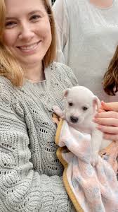 📆 Just a “Save the Date” for our upcoming fall market