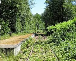 abandoned train tracks overgrown with vegetation grass trees, gerada com IA