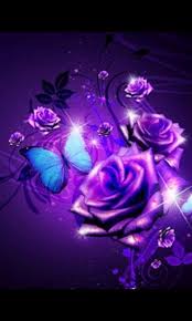 Download Purple Roses Live Wallpaper 1 For Android Purple Roses Wallpaper Blue Roses Wallpaper Purple Roses Download, share or upload your own one! download purple roses live wallpaper 1