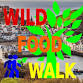 December Ilfracombe (North Devon) Coastal Wild - The Landmark Theatre, The Promenade Event Image