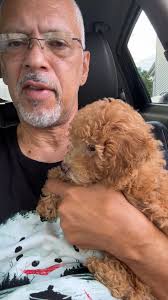 Yesterday we posted about a puppy (Bell) who needed a for ever and ever  home…. Within a couple of hours the post had 44,000 hits and many offers to  take her….. my phone did not stop ringing and ...