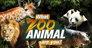 From the largest to the oldest to the most fascinating, these are the best zoos across the united states. What Zoo Animal Are You Brainfall