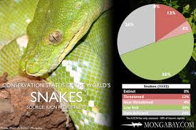 Chart The Worlds Most Endangered Snakes