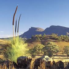 In the heart of mount gambier discover. Typical South Australian Scenery Australia Landscape Western Australia Travel Australia Travel