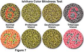A difficulty perceiving green (deuteranomaly) and a difficulty perceiving red (protanomaly). Enchroma Color Blindness App Eyedolatry