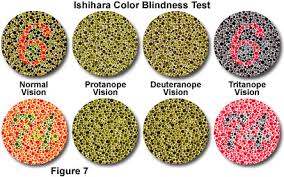 The french optician jean jouannic offers an online multiple choice color blindness test based on 31 images. Enchroma Color Blindness App Eyedolatry