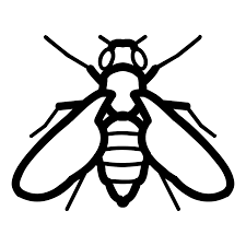 Normally carpenter ants are found in log and tree stumps. Pest Control You Can Trust New Mexico Pest Control Santa Fe Nm