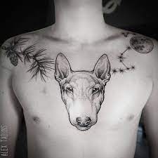 The 24 beautiful bull terrier tattoo designs. Bull Terrier Tattoo On The Chest
