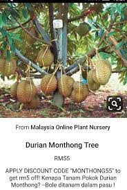 pin by vijaya kumari on roof gardening roof garden bags straw bag