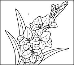 Flowers Coloring Pages Gladiolus Flower Tattoos Gladiolus Flower Gladiolus