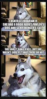 Science And Philosophy Like Cats And Dogs Dog Puns Bad Pun Dog Dog Jokes