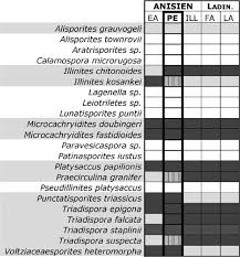 Image result for Heteromorpha sp. agg.
