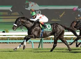 Manage your video collection and share your thoughts. é–¢å±‹è¨˜å¿µ ãƒ¬ãƒ¼ã‚¹å±•æœ› ã‚µãƒ³ã‚¹ãƒzbat ç«¶é¦¬