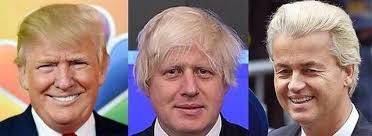 images?q=tbn:ANd9GcTB-Akkt7M4JmVEnstGIlv