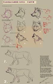 Guides To Drawing Wolves Realistic Drawings Drawings Animal Drawings
