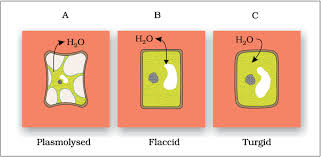 Maybe you would like to learn more about one of these? Sections