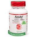 Amazon.com : Vetoquinol Azodyl Kidney Health Supplement for Dogs ...