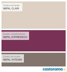 Peinture Nepal Clair Dulux Valentine Nuancier Peinture Peinture Castorama Castorama