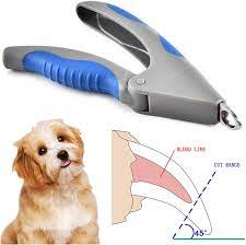 Put your dog's nail inside the guard, lightly pressing the tip against the safety stop. Amazon Com Dog Nails Clippers And Trimmer Professional Pet Grooming Tool Razor Sharp Blades Safety Guard T Pet Grooming Tools Dog Nail Clippers Pet Grooming