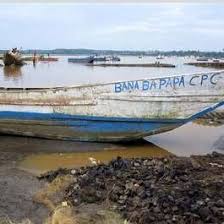 Image result for Liparis killmanniae