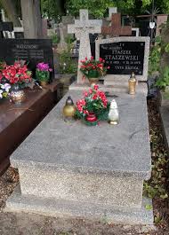 Kazik staszewski o tendencjach natury menelizacyjnej, rodzinie i kradzieżach. Stanislaw Staszewski Artysta Wikipedia Wolna Encyklopedia